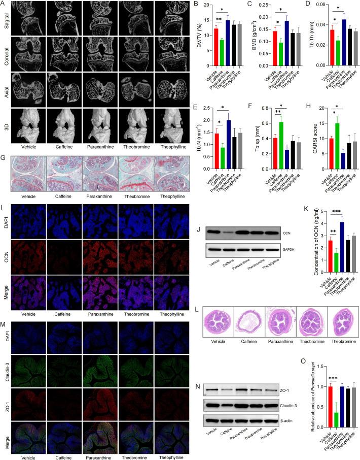 https://cdn.ncbi.nlm.nih.gov/pmc/blobs/68a8/12131801/9c433dbe5104/spectrum.01575-24.f004.jpg