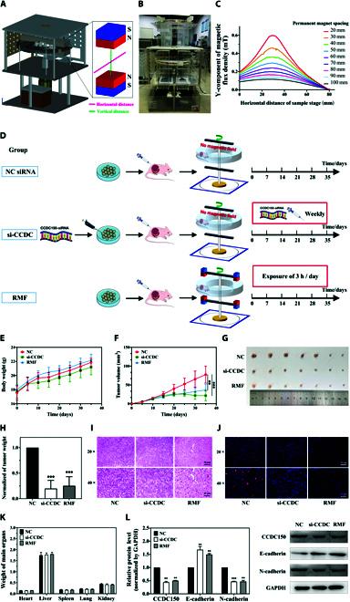 https://cdn.ncbi.nlm.nih.gov/pmc/blobs/68a9/10900498/34996d88a6fe/research.0320.fig.004.jpg