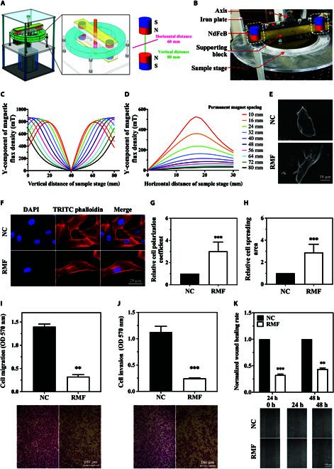 https://cdn.ncbi.nlm.nih.gov/pmc/blobs/68a9/10900498/f60718c626ca/research.0320.fig.001.jpg