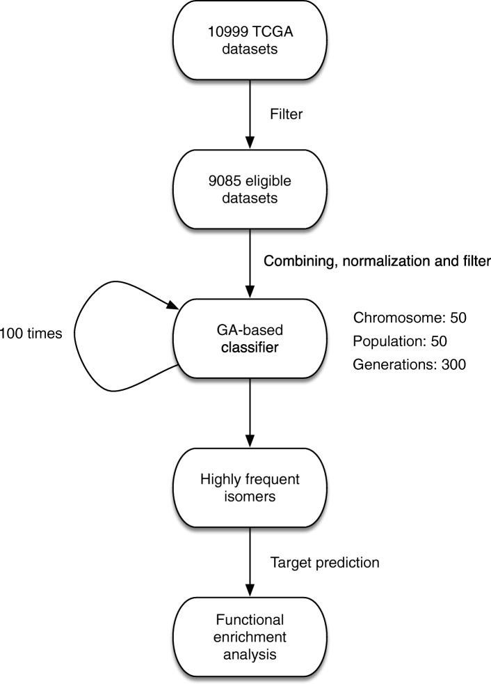 https://cdn.ncbi.nlm.nih.gov/pmc/blobs/68a9/6367816/4345d1627354/12885_2019_5340_Fig1_HTML.jpg