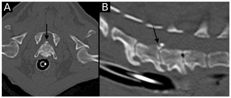 https://cdn.ncbi.nlm.nih.gov/pmc/blobs/68aa/12023942/e9e0c1cd2382/animals-15-01171-g007.jpg