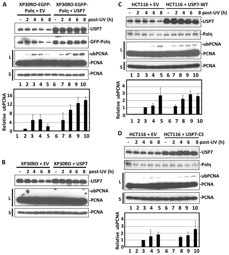 https://cdn.ncbi.nlm.nih.gov/pmc/blobs/68aa/4451444/245813571865/nihms638371f4.jpg