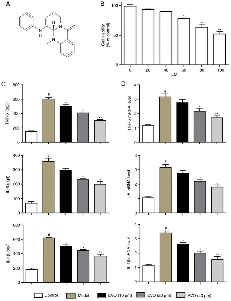 https://cdn.ncbi.nlm.nih.gov/pmc/blobs/68ab/6202108/a844320a0f0c/IJMM-42-06-3247-g00.jpg