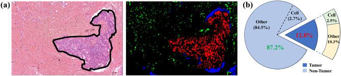 https://cdn.ncbi.nlm.nih.gov/pmc/blobs/68ae/11890753/525b67e3ca44/41598_2025_85678_Fig6_HTML.jpg