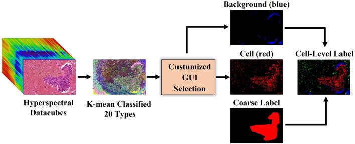 https://cdn.ncbi.nlm.nih.gov/pmc/blobs/68ae/11890753/7c22d761db8e/41598_2025_85678_Fig4_HTML.jpg