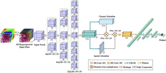 https://cdn.ncbi.nlm.nih.gov/pmc/blobs/68ae/11890753/f80c82b39396/41598_2025_85678_Fig5_HTML.jpg