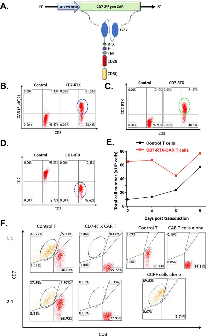 https://cdn.ncbi.nlm.nih.gov/pmc/blobs/68ae/12354618/86209b229c2c/fimmu-16-1604490-g001.jpg