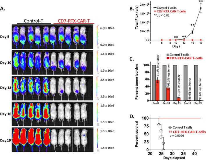 https://cdn.ncbi.nlm.nih.gov/pmc/blobs/68ae/12354618/d65c8eebce5c/fimmu-16-1604490-g002.jpg