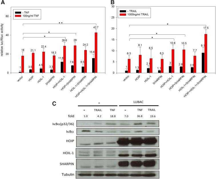 https://cdn.ncbi.nlm.nih.gov/pmc/blobs/68ae/5982153/210908d9b52b/fig-2.jpg