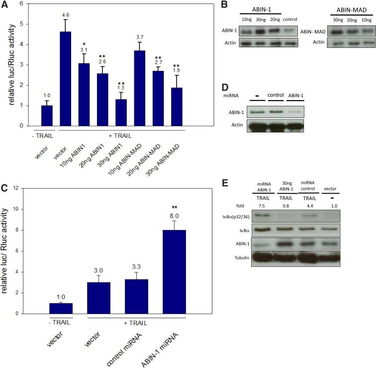 https://cdn.ncbi.nlm.nih.gov/pmc/blobs/68ae/5982153/45329eaed347/fig-1.jpg