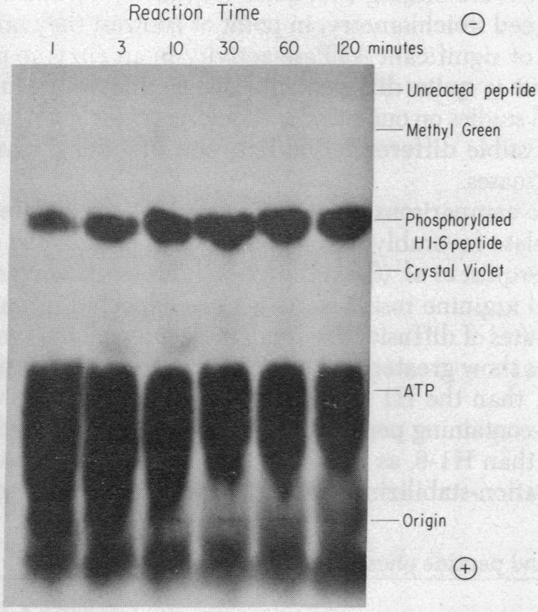 https://cdn.ncbi.nlm.nih.gov/pmc/blobs/68b0/431919/5da7be098453/pnas00032-0159-a.jpg