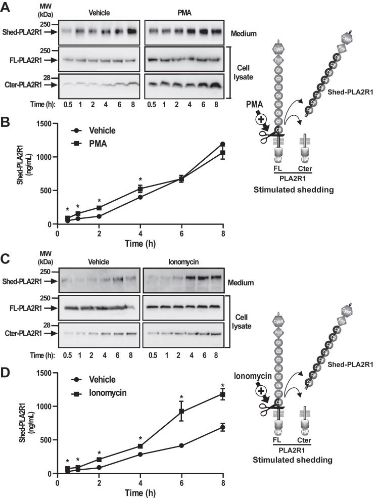 https://cdn.ncbi.nlm.nih.gov/pmc/blobs/68b2/11301074/4cfe0eb11f96/gr4.jpg