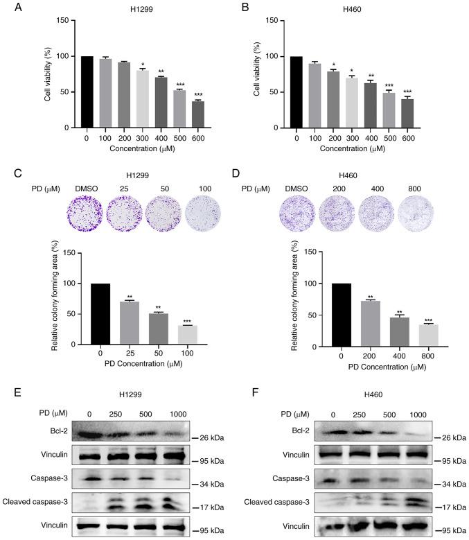 https://cdn.ncbi.nlm.nih.gov/pmc/blobs/68b3/11251743/c89706783797/ijo-65-02-05665-g00.jpg