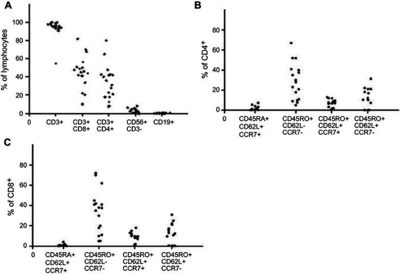 https://cdn.ncbi.nlm.nih.gov/pmc/blobs/68b4/6642655/e5cf6b00776c/CMAR-11-6467-g0001.jpg