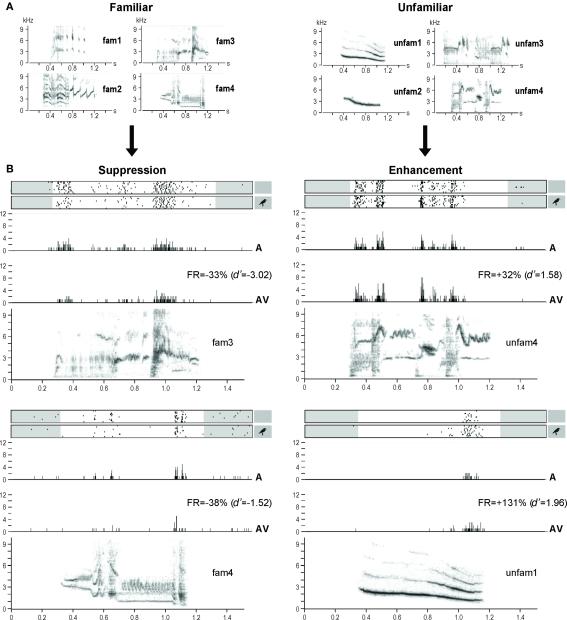 https://cdn.ncbi.nlm.nih.gov/pmc/blobs/68b6/3031079/671c2415263b/fnbeh-04-00193-g003.jpg