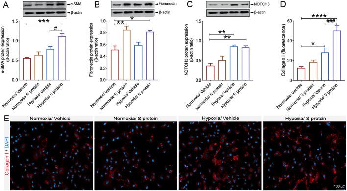 https://cdn.ncbi.nlm.nih.gov/pmc/blobs/68b6/8590447/211e66ef125c/gr8_lrg.jpg