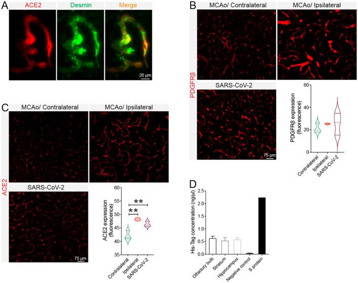https://cdn.ncbi.nlm.nih.gov/pmc/blobs/68b6/8590447/3151575eb0ae/gr11_lrg.jpg