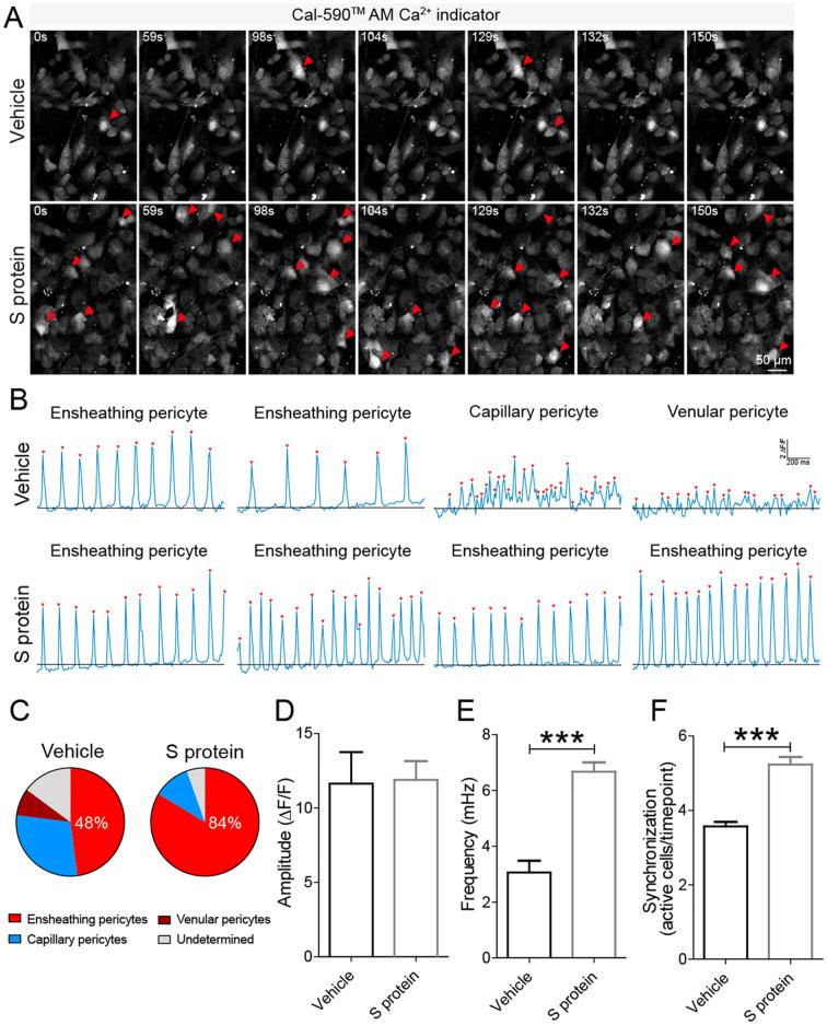 https://cdn.ncbi.nlm.nih.gov/pmc/blobs/68b6/8590447/67d127433f40/gr6_lrg.jpg