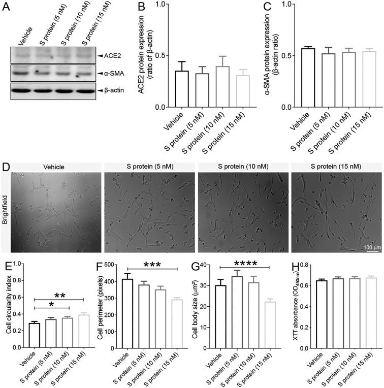 https://cdn.ncbi.nlm.nih.gov/pmc/blobs/68b6/8590447/6c2ef5d5a3b1/gr5_lrg.jpg