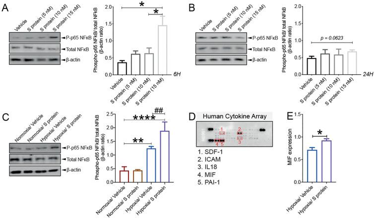 https://cdn.ncbi.nlm.nih.gov/pmc/blobs/68b6/8590447/b18678a7a133/gr10_lrg.jpg
