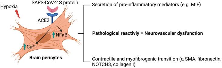 https://cdn.ncbi.nlm.nih.gov/pmc/blobs/68b6/8590447/fdac4c96eba3/gr12_lrg.jpg