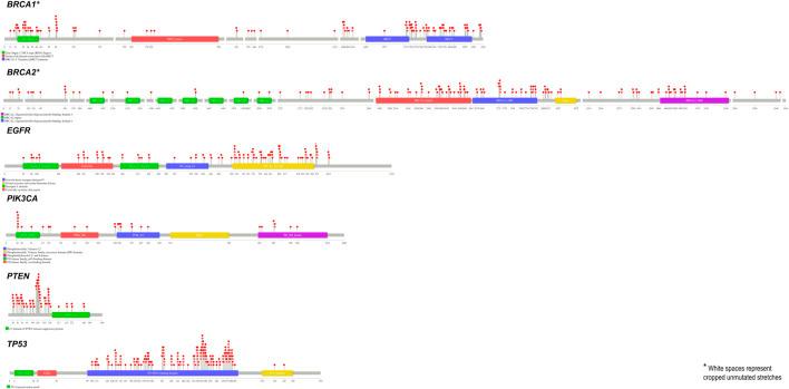 https://cdn.ncbi.nlm.nih.gov/pmc/blobs/68b7/9763624/16dbefbea6be/fgene-13-1071352-g004.jpg