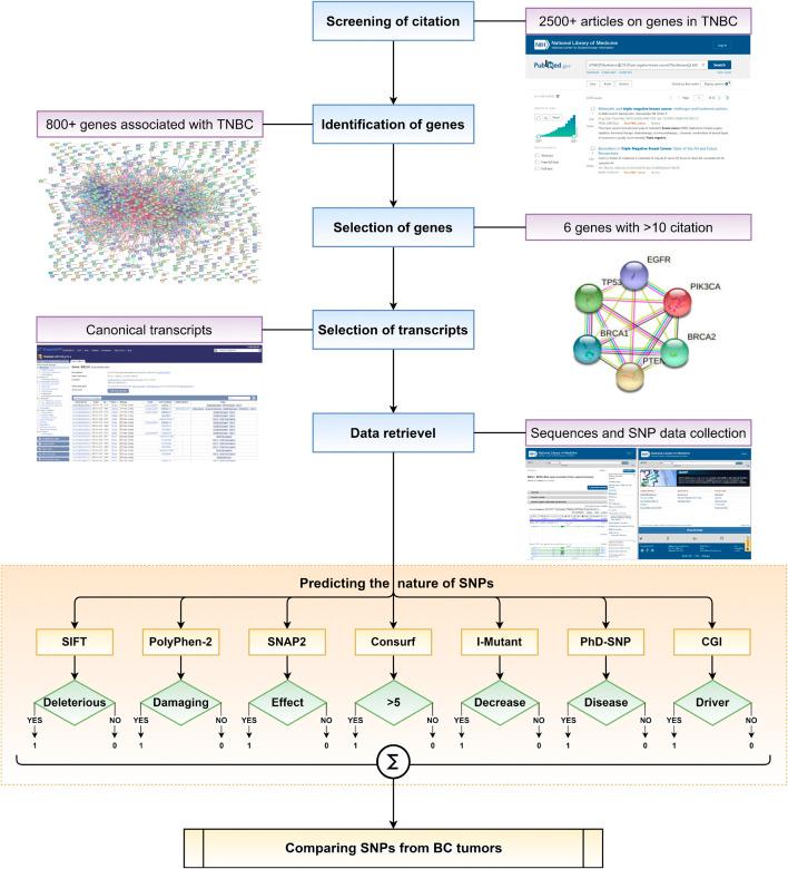 https://cdn.ncbi.nlm.nih.gov/pmc/blobs/68b7/9763624/9eb428975dc2/fgene-13-1071352-g001.jpg