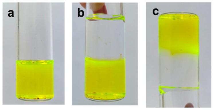 https://cdn.ncbi.nlm.nih.gov/pmc/blobs/68b8/10528848/087d4441e093/gels-09-00719-g014.jpg