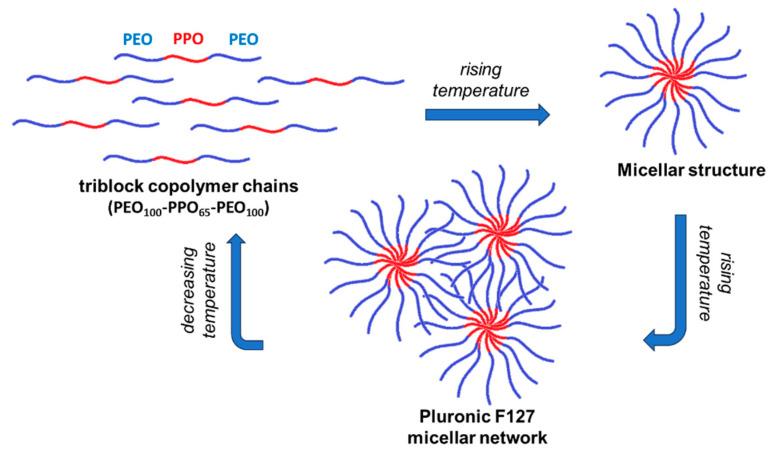 https://cdn.ncbi.nlm.nih.gov/pmc/blobs/68b8/10528848/d29757643885/gels-09-00719-sch002.jpg