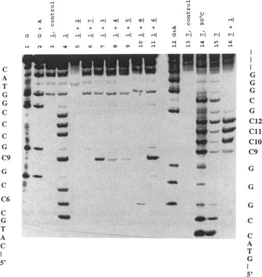 https://cdn.ncbi.nlm.nih.gov/pmc/blobs/68b8/306743/d83388e12c3d/nar00004-0185-b.jpg