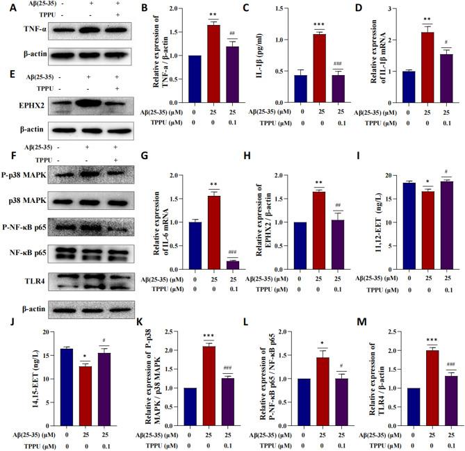 https://cdn.ncbi.nlm.nih.gov/pmc/blobs/68bd/12183823/0bc3684ca12f/12950_2025_449_Fig3_HTML.jpg