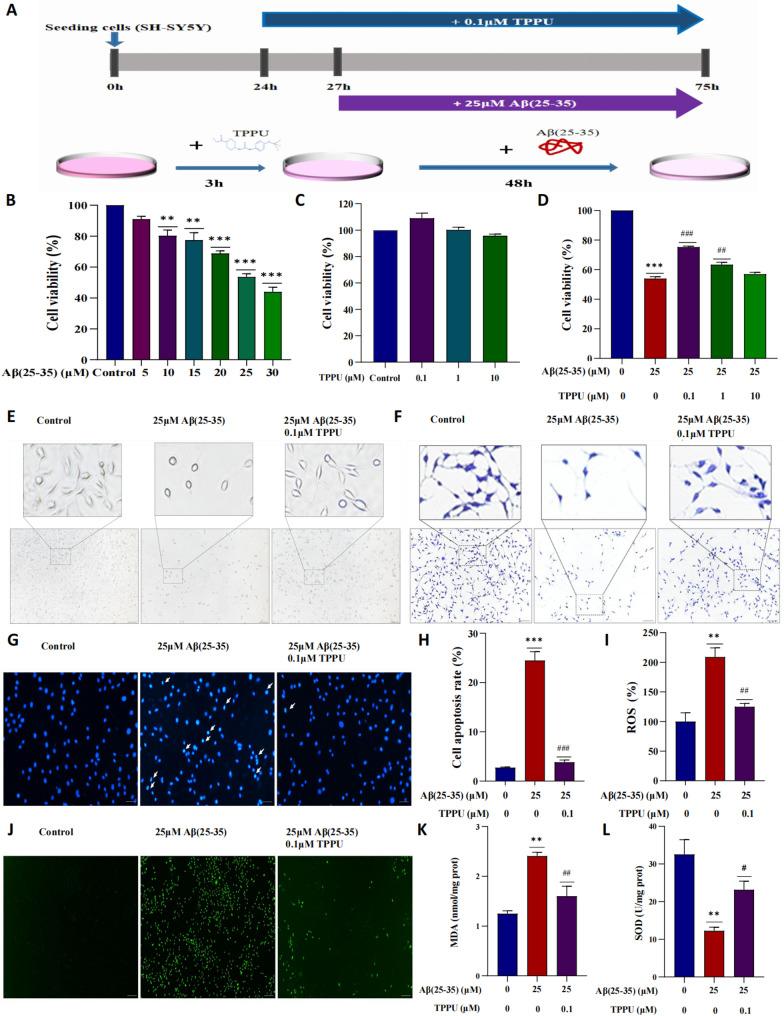https://cdn.ncbi.nlm.nih.gov/pmc/blobs/68bd/12183823/1e03909beaae/12950_2025_449_Fig2_HTML.jpg