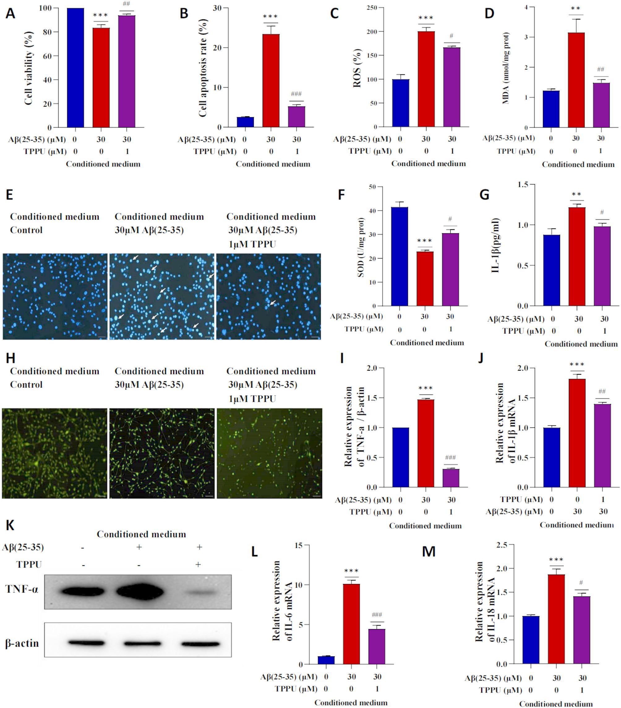 https://cdn.ncbi.nlm.nih.gov/pmc/blobs/68bd/12183823/3ac8b6637374/12950_2025_449_Fig7_HTML.jpg