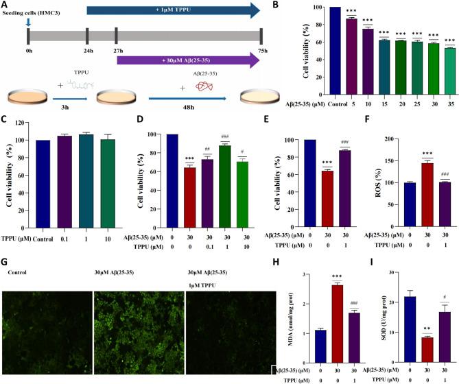 https://cdn.ncbi.nlm.nih.gov/pmc/blobs/68bd/12183823/444501cecebe/12950_2025_449_Fig4_HTML.jpg