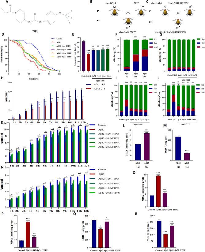 https://cdn.ncbi.nlm.nih.gov/pmc/blobs/68bd/12183823/810abb2d4451/12950_2025_449_Fig1_HTML.jpg