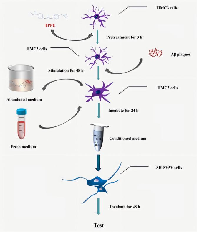 https://cdn.ncbi.nlm.nih.gov/pmc/blobs/68bd/12183823/c518d728012e/12950_2025_449_Fig6_HTML.jpg