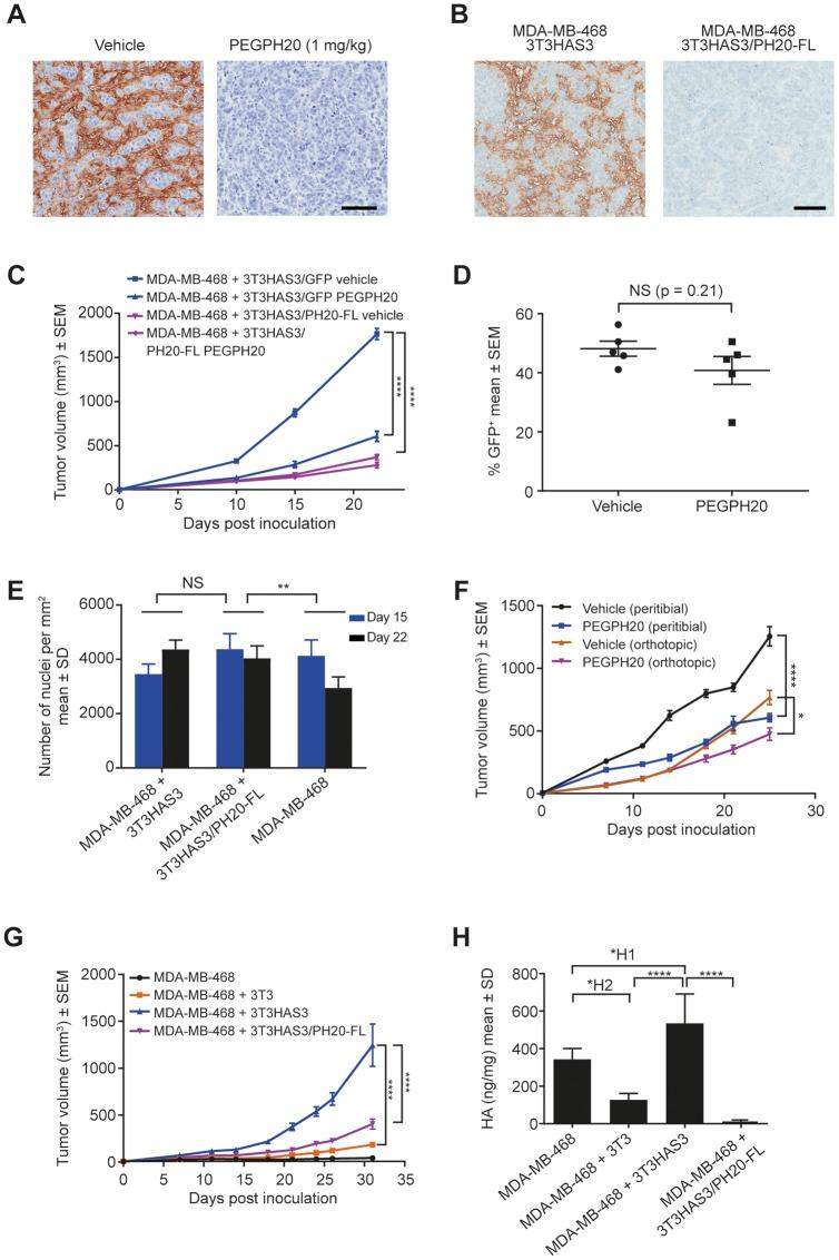https://cdn.ncbi.nlm.nih.gov/pmc/blobs/68bd/6859925/d40b4a9509f0/oncotarget-10-6561-g003.jpg