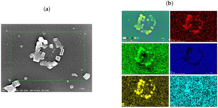 https://cdn.ncbi.nlm.nih.gov/pmc/blobs/68bf/11123073/b9f2b4810ac1/micromachines-15-00652-g007.jpg
