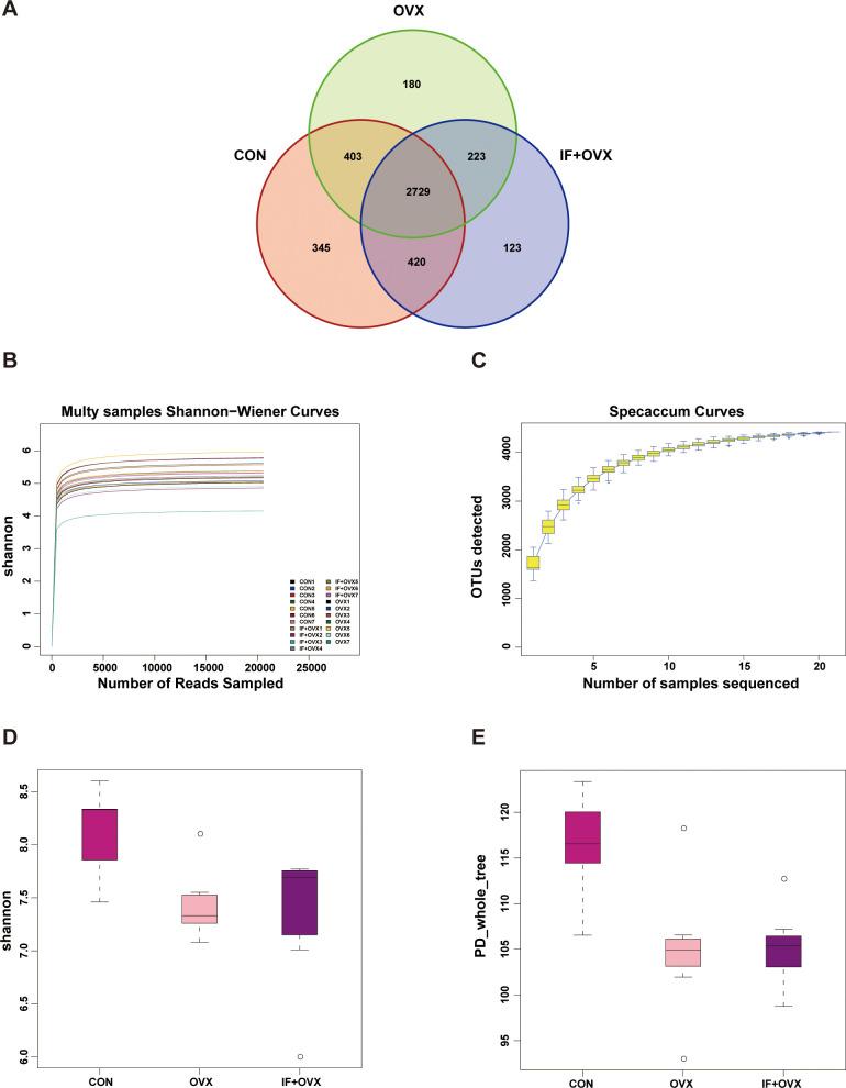 https://cdn.ncbi.nlm.nih.gov/pmc/blobs/68bf/12015163/3e8b79b62e27/fimmu-16-1508634-g005.jpg