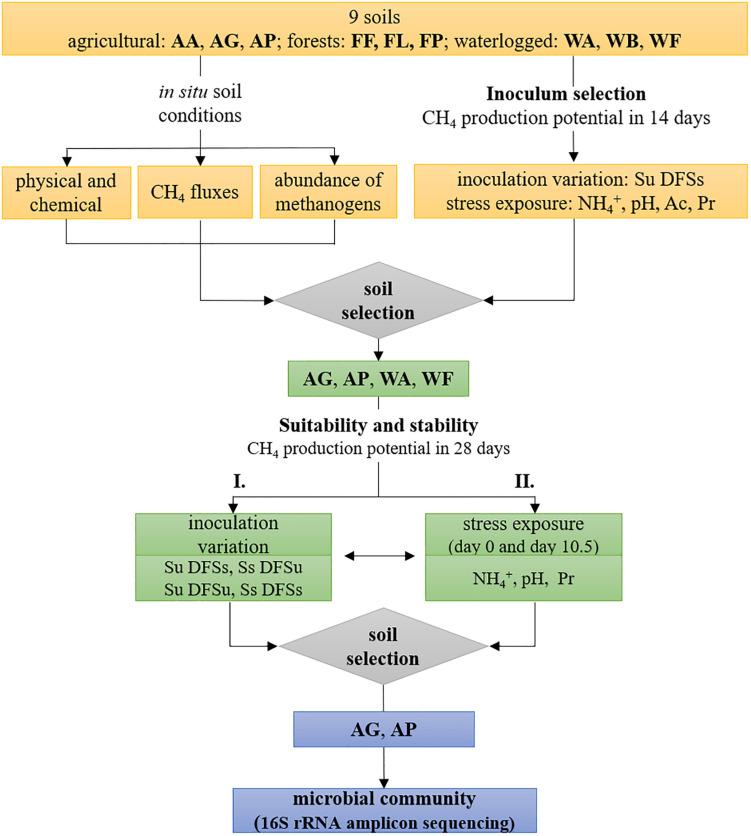 https://cdn.ncbi.nlm.nih.gov/pmc/blobs/68bf/7606279/fcbd32de3818/fmicb-11-572759-g001.jpg