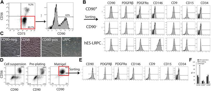 https://cdn.ncbi.nlm.nih.gov/pmc/blobs/68c0/10151706/3e0621720406/fcell-11-1173794-g002.jpg