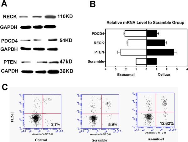 https://cdn.ncbi.nlm.nih.gov/pmc/blobs/68c1/4694967/aae3798da558/oncotarget-06-26971-g004.jpg