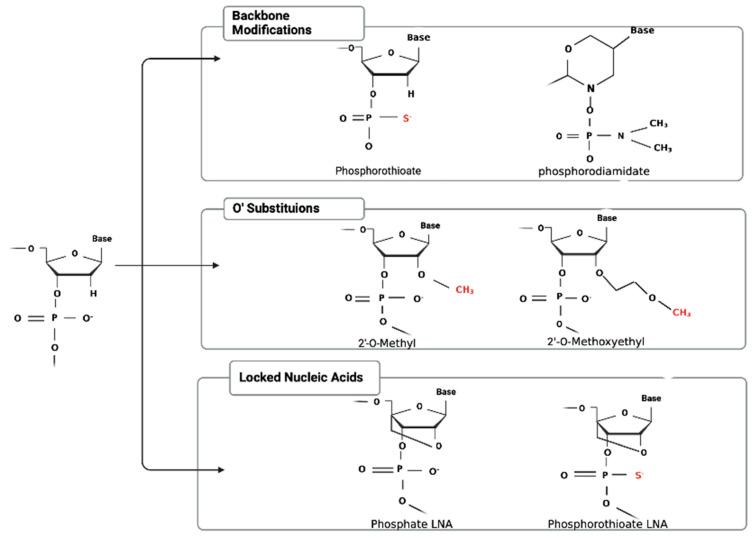 https://cdn.ncbi.nlm.nih.gov/pmc/blobs/68c2/11119631/494ae7efb844/cancers-16-01944-g002.jpg