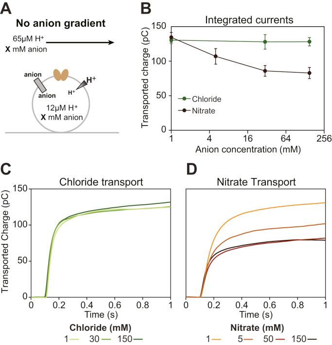 https://cdn.ncbi.nlm.nih.gov/pmc/blobs/68c2/8517846/2471532c1338/gr5.jpg