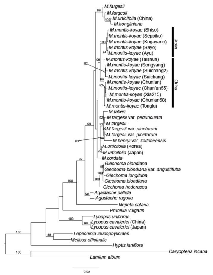 https://cdn.ncbi.nlm.nih.gov/pmc/blobs/68c4/7570357/f509b3c1defc/plants-09-01159-g002.jpg