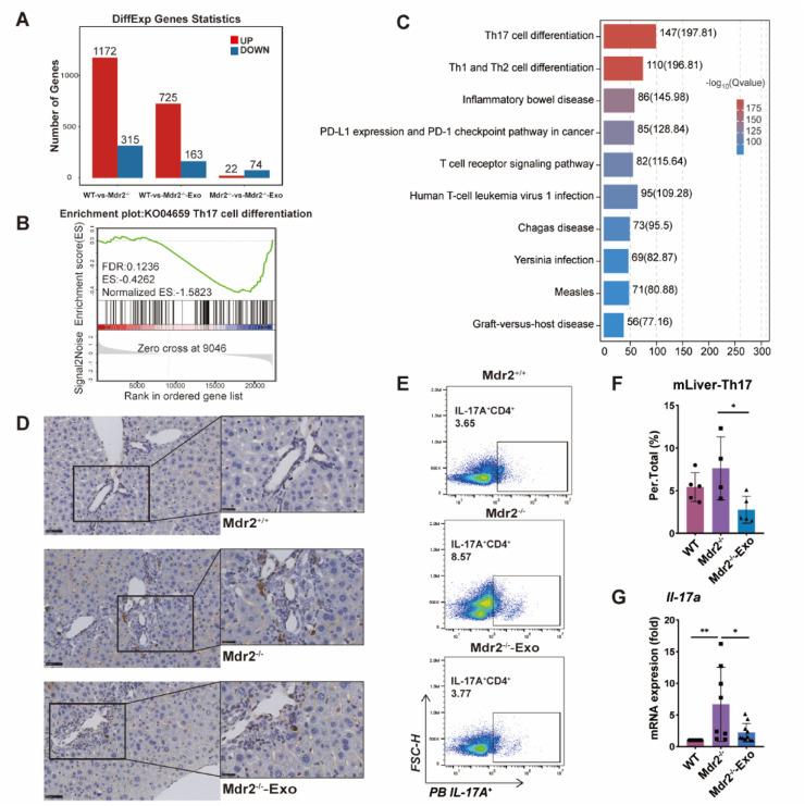 https://cdn.ncbi.nlm.nih.gov/pmc/blobs/68c6/10900800/1e8ac6edb064/gr2.jpg