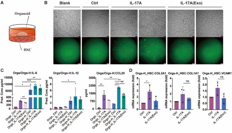 https://cdn.ncbi.nlm.nih.gov/pmc/blobs/68c6/10900800/32f3863c18b9/gr5.jpg