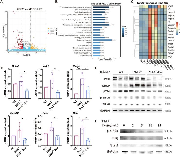 https://cdn.ncbi.nlm.nih.gov/pmc/blobs/68c6/10900800/529fb36474dd/gr6.jpg