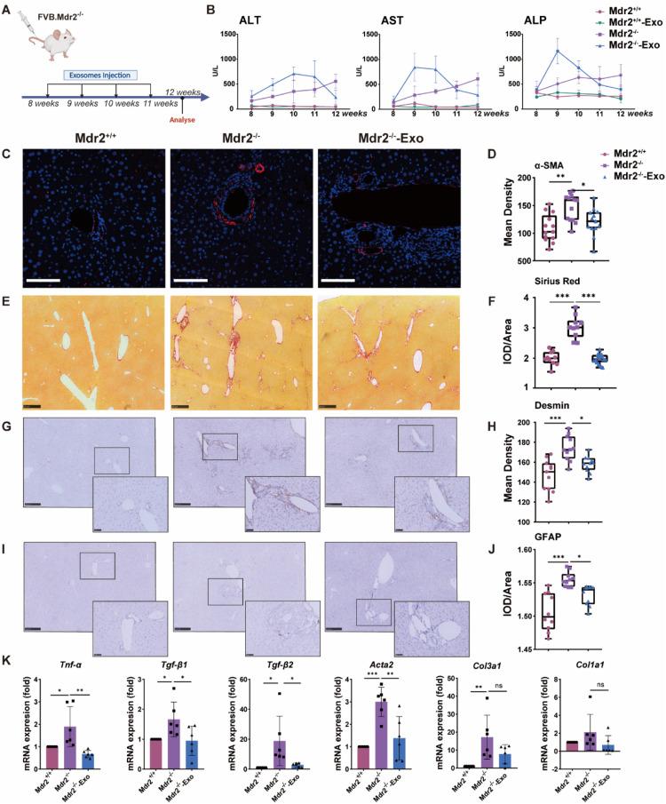 https://cdn.ncbi.nlm.nih.gov/pmc/blobs/68c6/10900800/f1496069992a/gr1.jpg