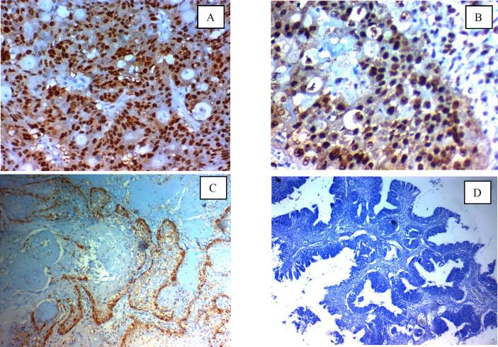 https://cdn.ncbi.nlm.nih.gov/pmc/blobs/68c9/11164314/e447b7b696eb/ijp-19-10-g002.jpg